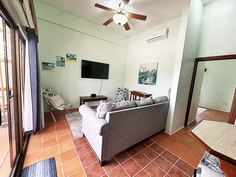 A living room with a couch and television in it