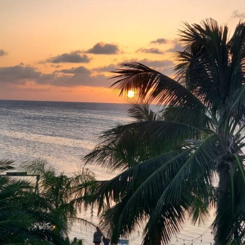 Caye Living Properties