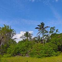IMG_1243(1)