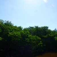 P1120317